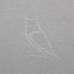 Wasserzeichen_Kautz-min